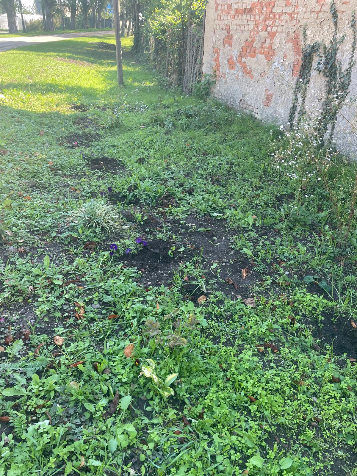 Vandalismus in Zuchau